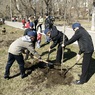 Субботник помог очистить дворы Подмосковья