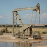 Почему мировые цены на нефть растут
